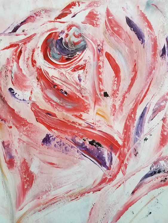 PINK ROSE