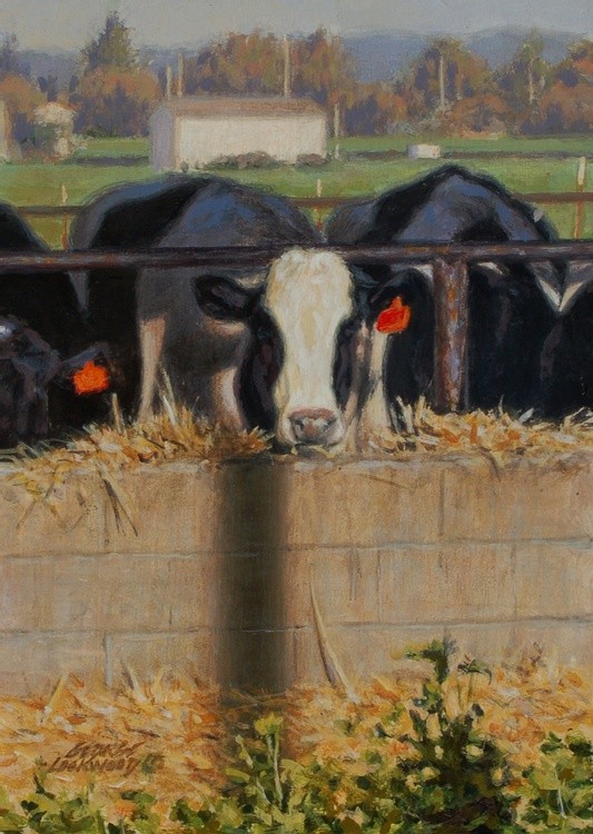 Dairy Shadows