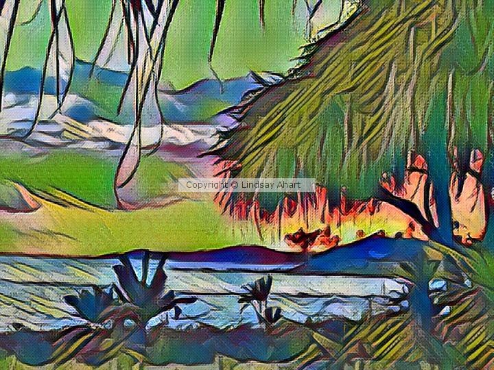 Paradise Found