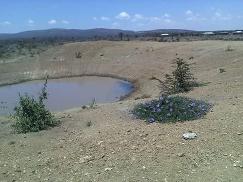 Survival Dam near Maasai Mara
