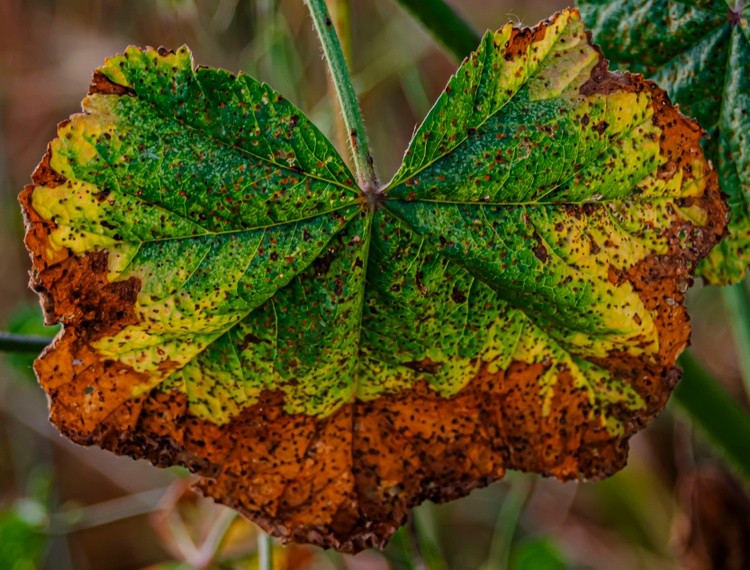 Changes - April 7  2026