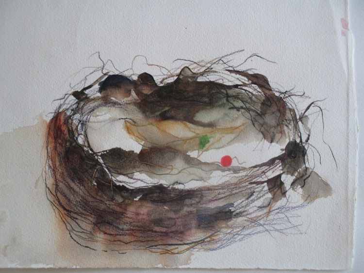 Birds's Nest