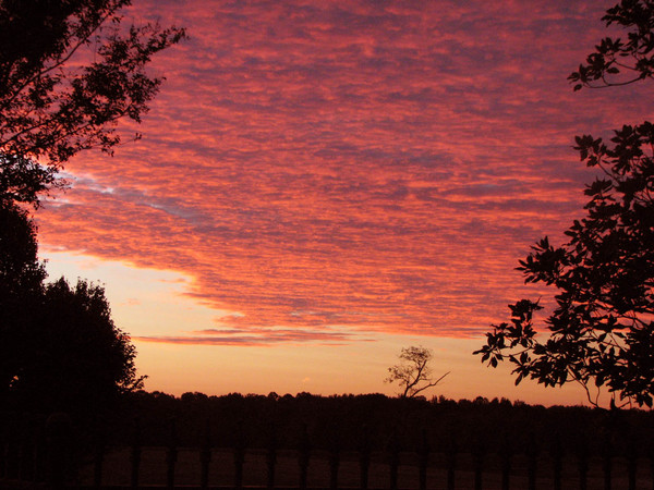 Tennessee Sunrise