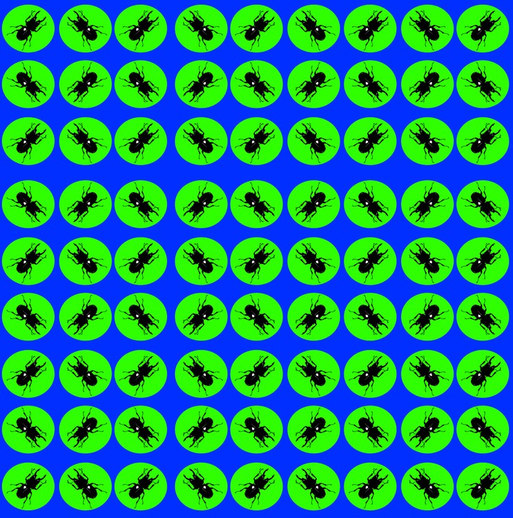 BEETLE TILED