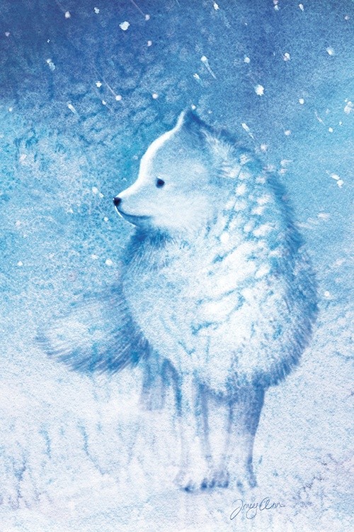 Frosty Toes, Arctic Fox
