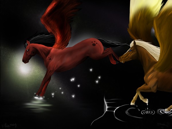 Chasing Stars