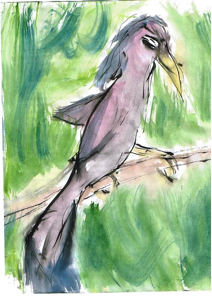 Birdie