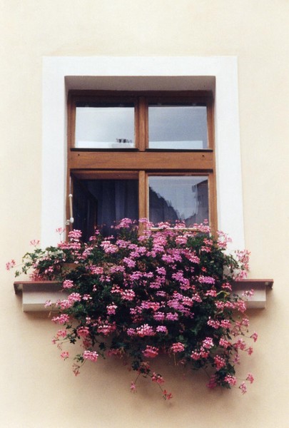 Window in Munich