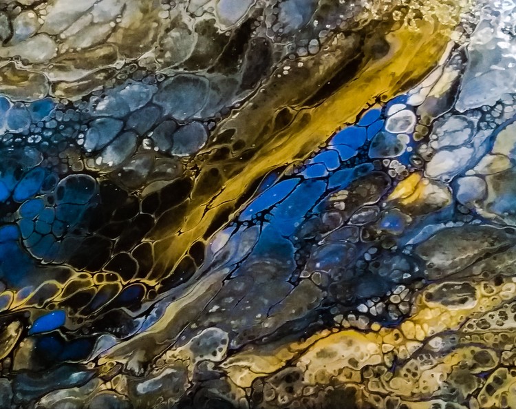 Blue/gold