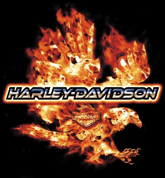 FLAMING EAGLE-HARLEY-DAVIDSON