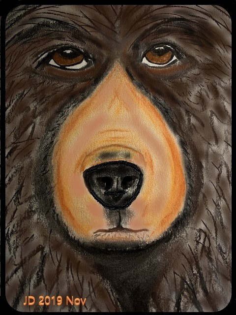 Bear Face 3D1