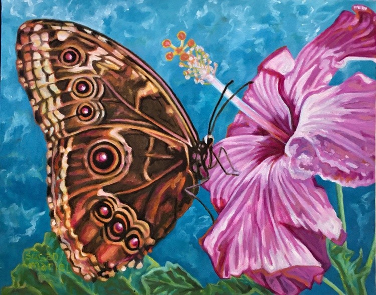 Hisbiscus Butterfly