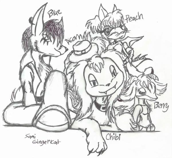 My anthromorphic subeta pets.
