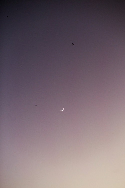 IMG 7863