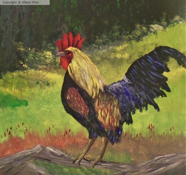 The Rooster