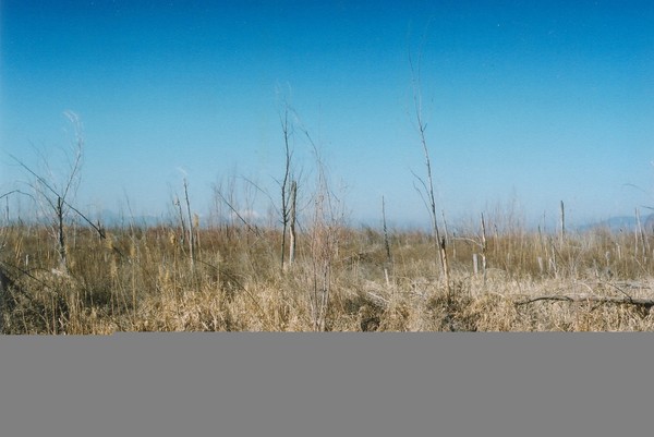 Displacement