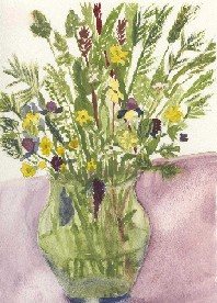 Wildflowers