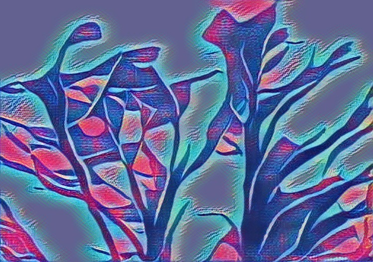 looq 20220324 162922