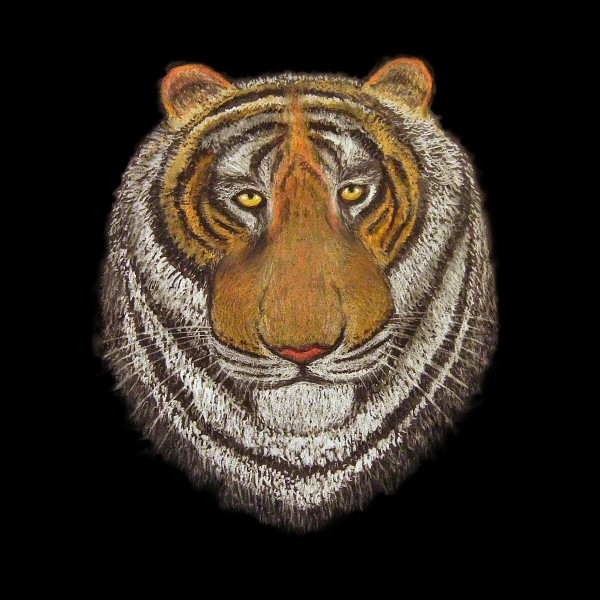 WISE OLD TIGER