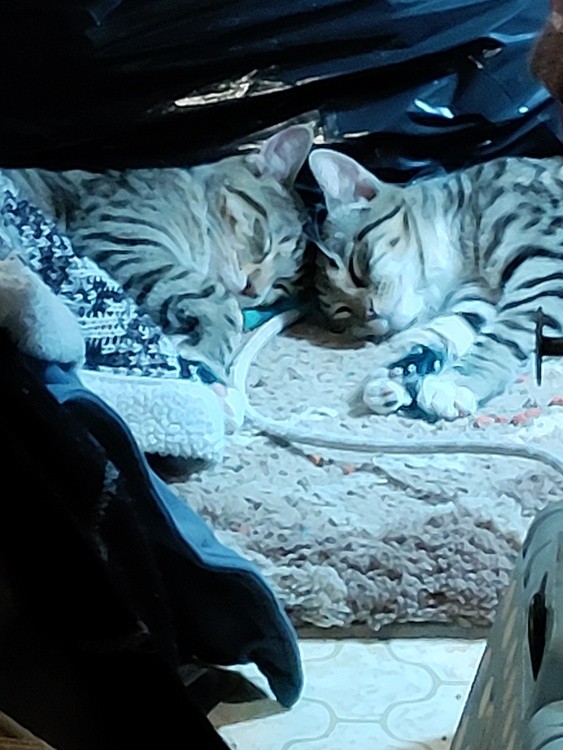 IMG 20220330 140414