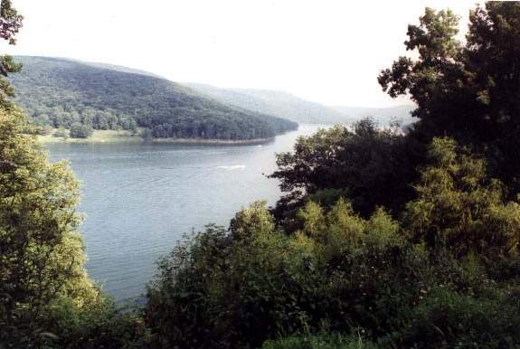 A peek between the trees