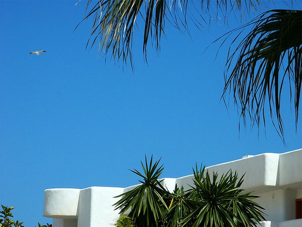 High flyer