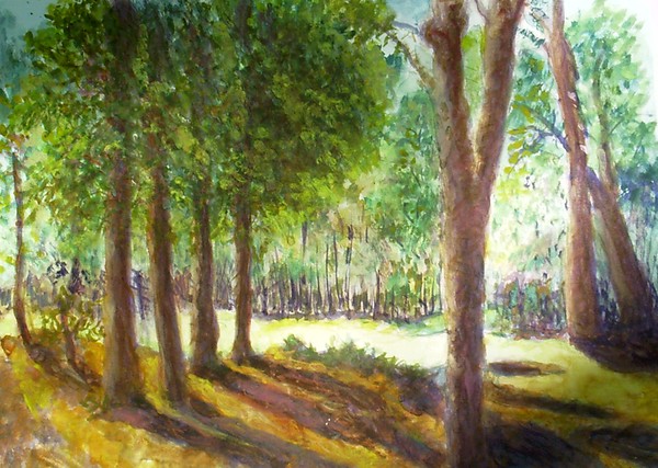 untitled landscape