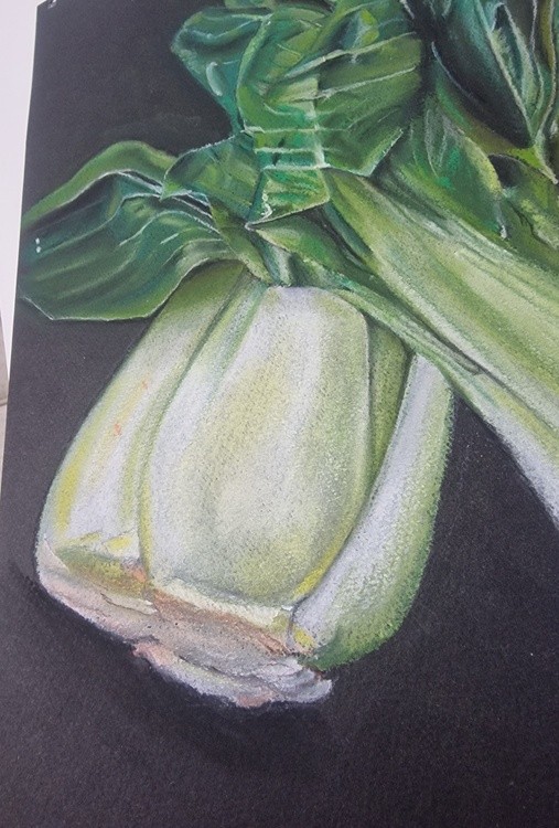 Chinese cabbage