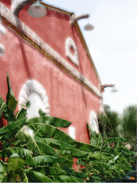 Mexican Eatery