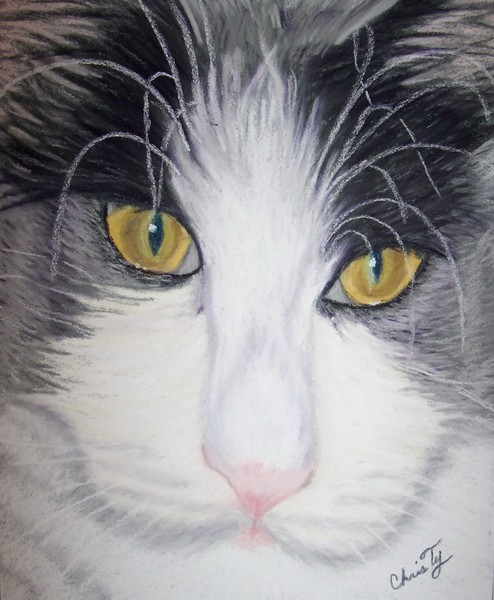 Kat