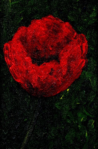 poppy