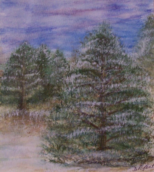Winter Pines