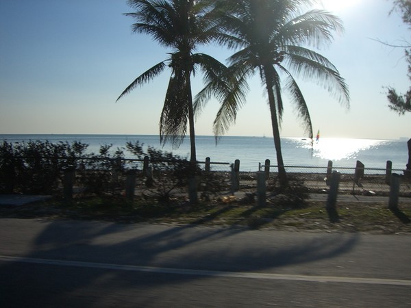 Beautiful Ocean View