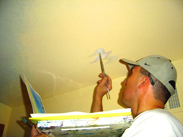 Acrylic/Airbrushed BIRDS