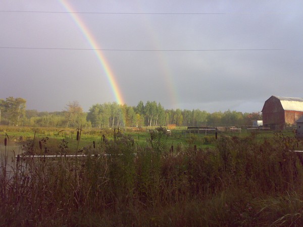 Country side