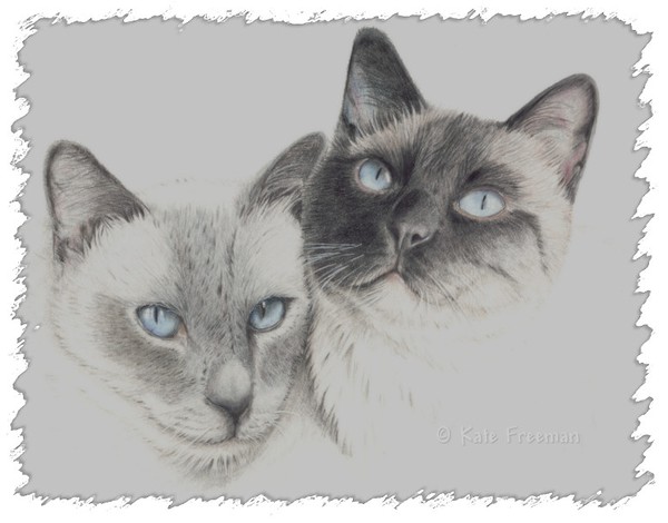 Siamese Cats