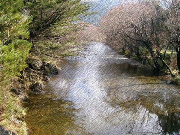 Stream, Aniseed Valley