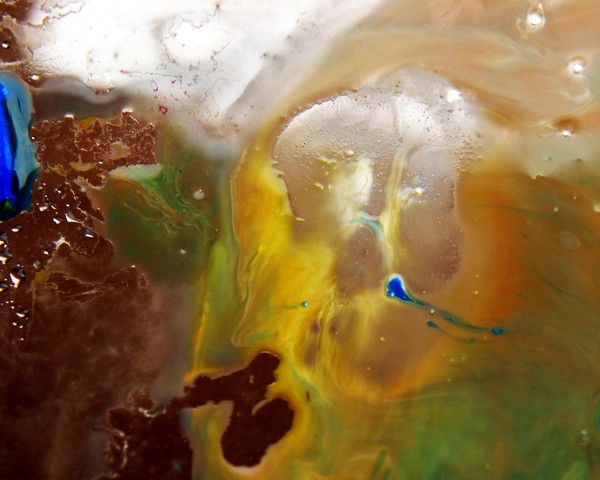 Jellyfish on my canvas