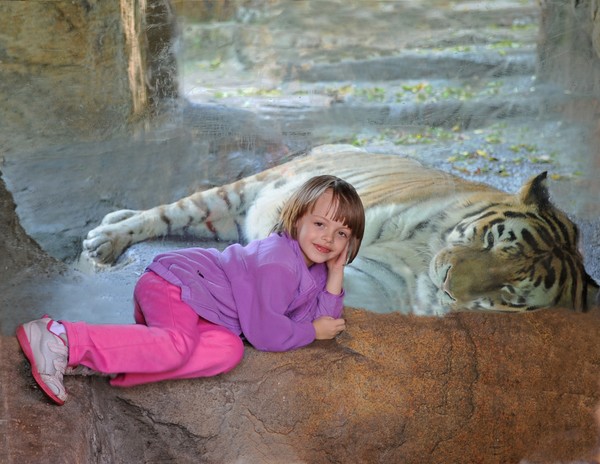 Nap Time at the Zoo