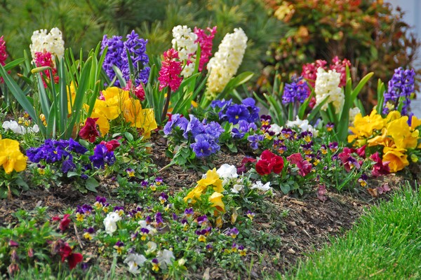 Spring Garden