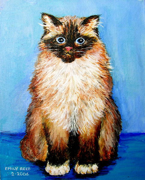 L'il Ragsy