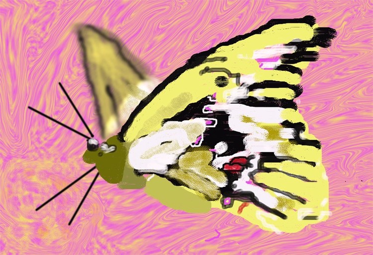 butterfly on Pink (O809)