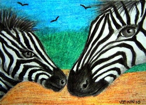Zebras