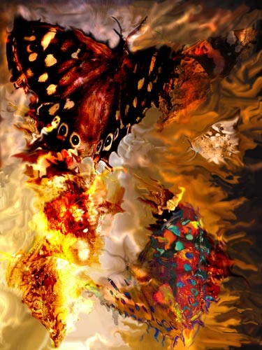 Crucible Of living Color