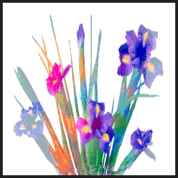 Iris