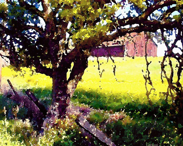 Spring Barn