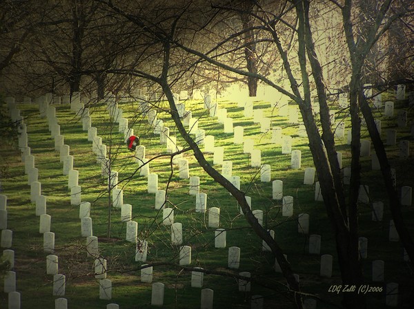 Just One Wreath