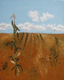 Autumn Cornfield
