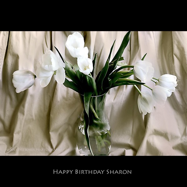 Happy Birthday Sharon