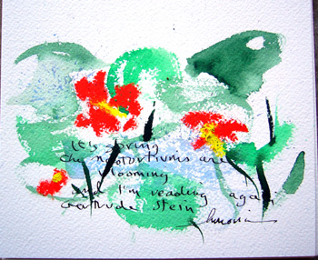 Nasturtiums and Gertrude